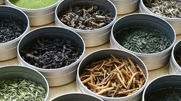 Sazen Teaの冬支度。心まで温まる、冬の厳選銘茶