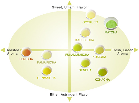 緑茶の基本：色、香り、風味