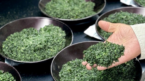 Matcha Prices without Taboos