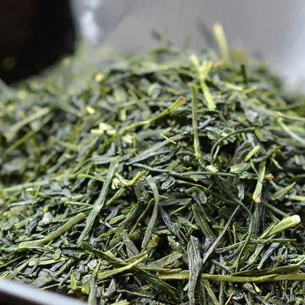 煎茶 清雅