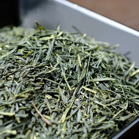 Yūki Ise Sencha