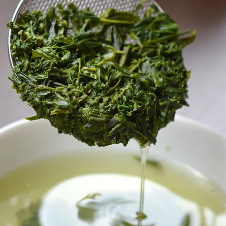Yūki Ise Sencha