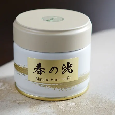 抹茶 春の洸