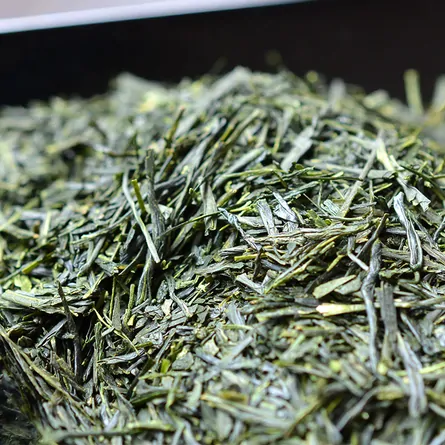 Sencha Teabag 3g×10