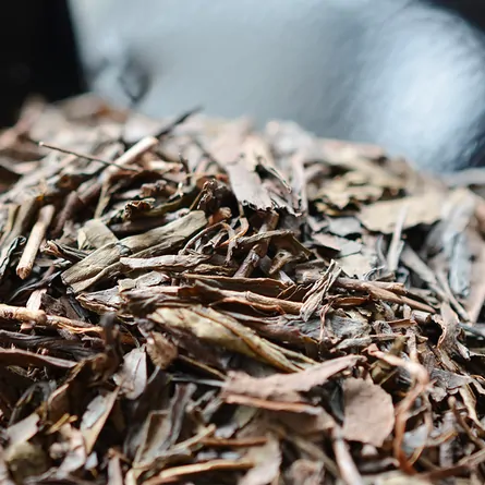 Houjicha Teabag 3g×10