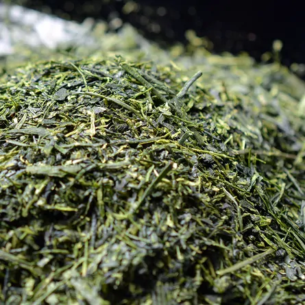 SAZEN オリジナル煎茶ティーバッグ 