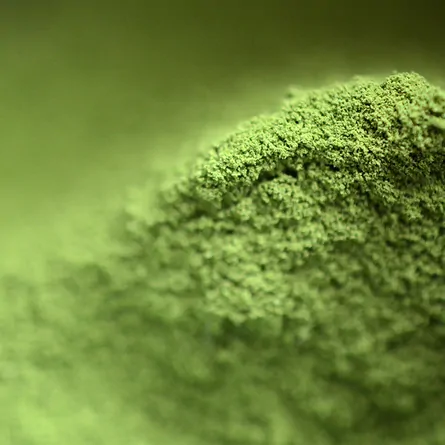 Matcha Tenju