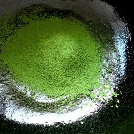Matcha Kiyo no Mori