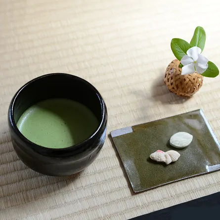 Matcha Kiyo no Mori