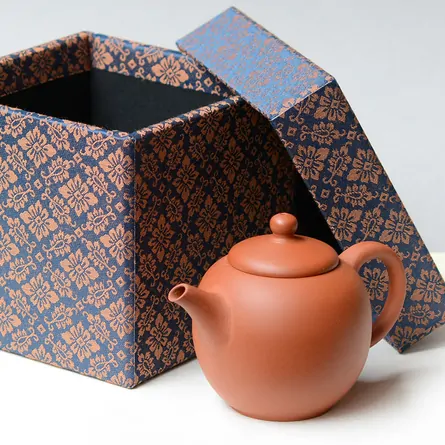 Jinshu Ushirode Kyusu Shudei