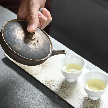 銅器　重弘作 淳蔵 黒金彩極平急須 急須 横手急須 - Sazen Tea