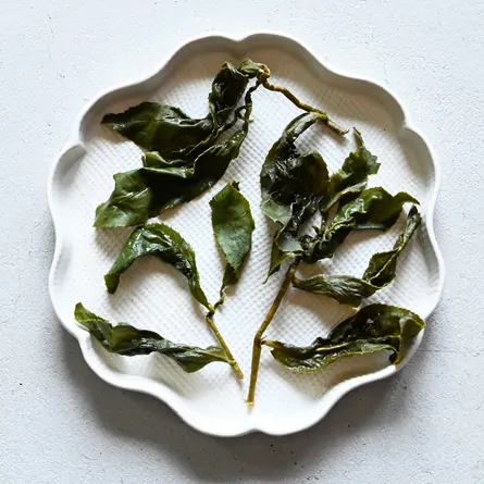 阿里山高山茶 大凹