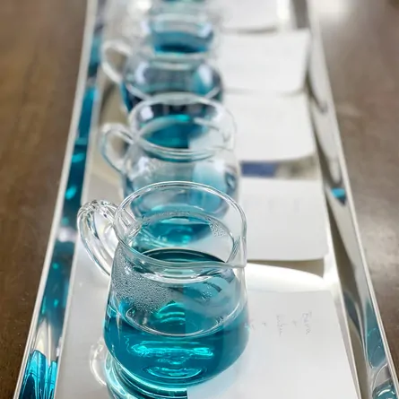 バレンタインハーブガーデン