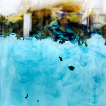 バレンタインハーブガーデン