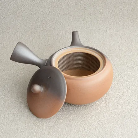 Isshin Yakishime Obiami Kyusu