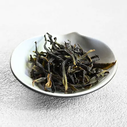 黒茶荷 大