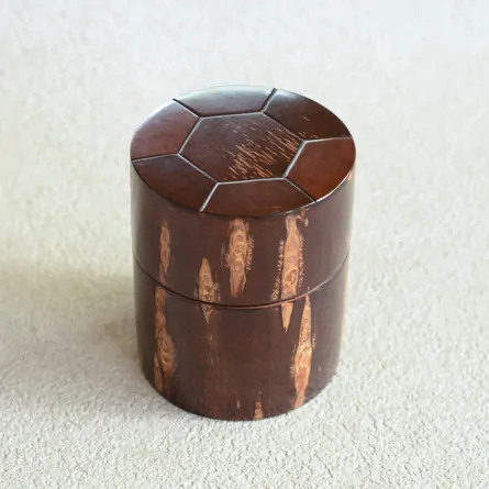 Sōgawa Chazutsu Tenkikko