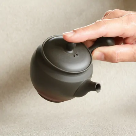 Kōshi Hiyōhen Kōdai Tsubogata Kyusu