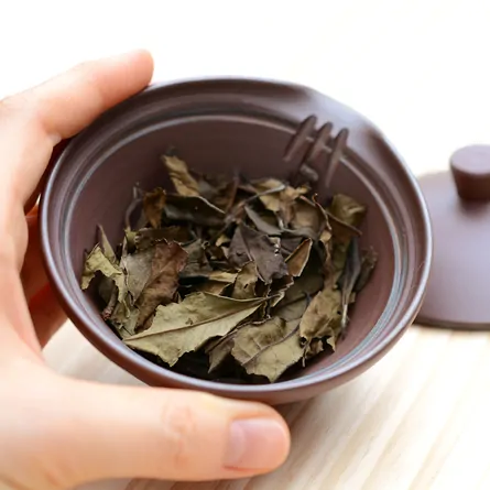 Jitsuzan Shidei Shiboridashi