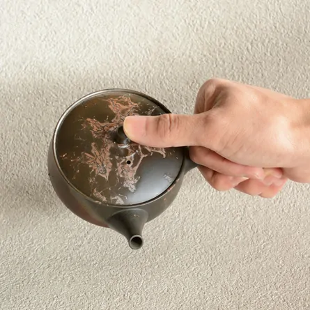 Kōshi Hiyōhen Mogake Kyusu