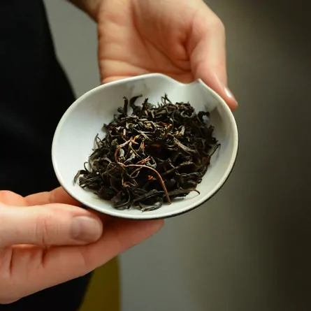 Ohmi Kōcha Benifūki