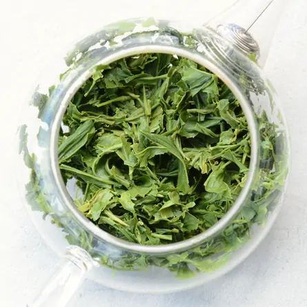 Competitive Grade Sencha Yabukita