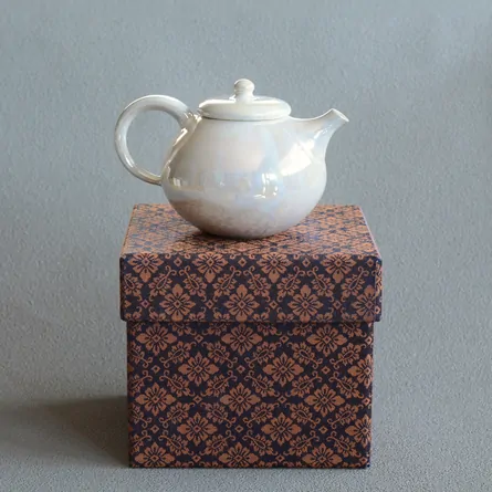 Yutaka Ushirode Kyusu Pearl