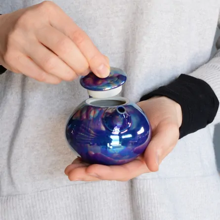 Yutaka Ushirode Kyusu Sapphire