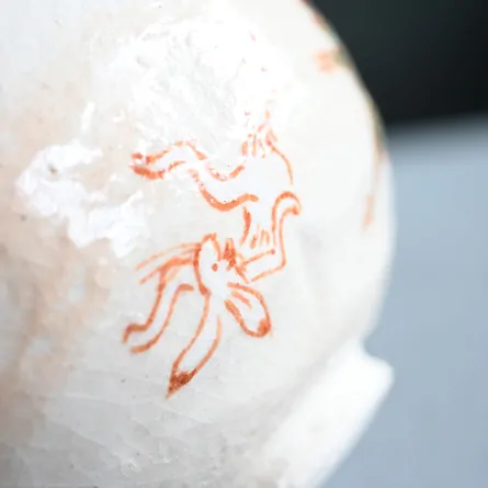 Chawan Shiroraku Chōjūgiga