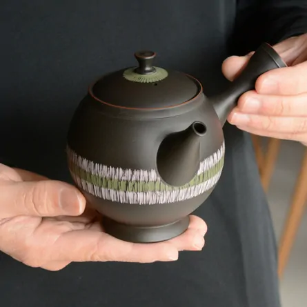 Koie Hiroshi Kokudei Zoganbori Kyusu