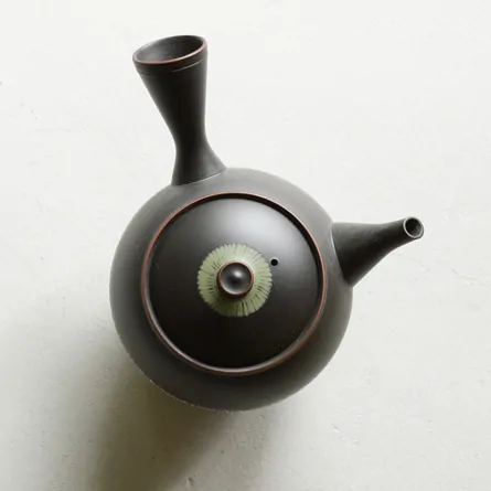 Koie Hiroshi Kokudei Zoganbori Kyusu