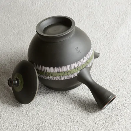 Koie Hiroshi Kokudei Zoganbori Kyusu