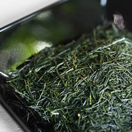 Competitive-Grade Sencha Blend