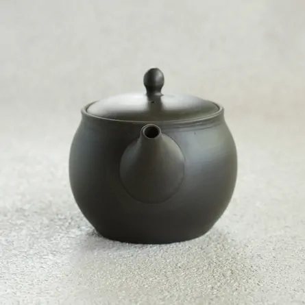 Gyokkō Kokudei Ushirode Kyusu
