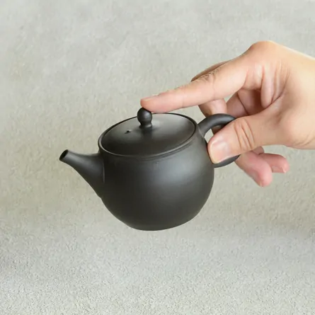 Gyokkō Kokudei Ushirode Kyusu