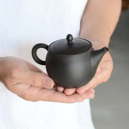 Gyokkō Kokudei Ushirode Kyusu