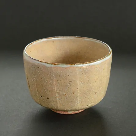 茶碗 灰釉 木守絵