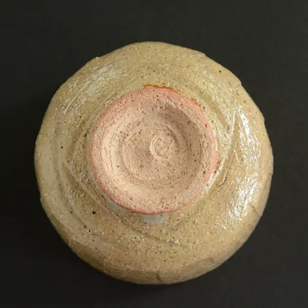 茶碗 灰釉 木守絵