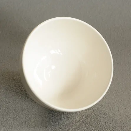 茶碗 善高 白釉 赤富士に昇り龍