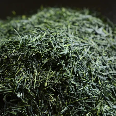 京田辺手摘み玉露ごこう