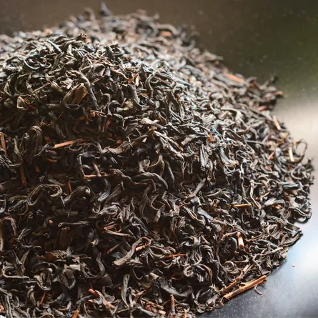 Ohmi Kōcha Yabukita