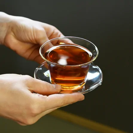 Yōjōcha Irodori Shinonome Special