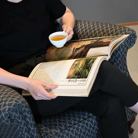 Yōjōcha Irodori Kanaria Premium