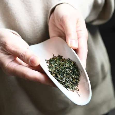 Sakura Sencha
