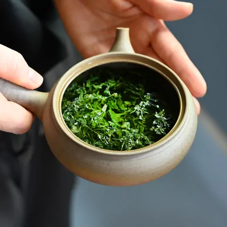 和束煎茶ごこう