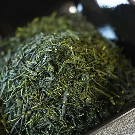 玉露玉碧 上林春松本店 その他 - Sazen Tea