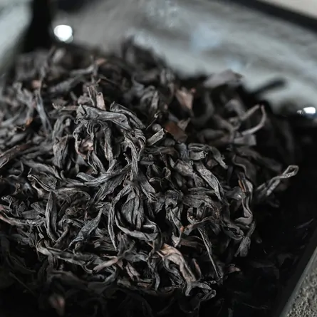 Ma Zhen Feng Rou Gui 2023