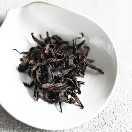 蓮華峰肉桂 2023年