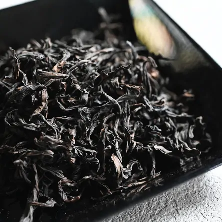 猫耳岩肉桂　2023年