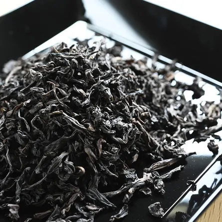 金交椅肉桂　2019年